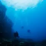 Tioman Dive Sites dive site