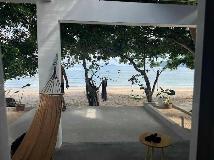 Accommodation coral reef