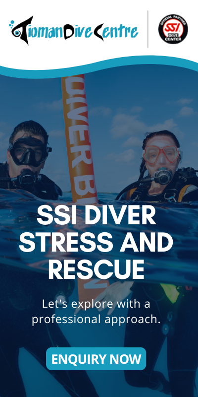 ssi diver stress and rescue​