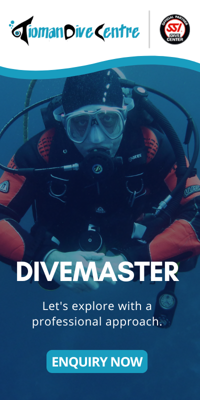 divemaaster