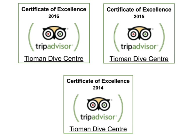 tripadvisor