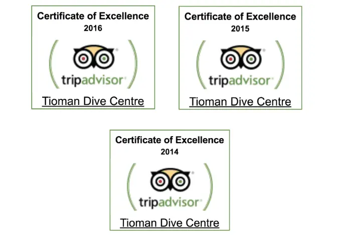 About tripadvisor